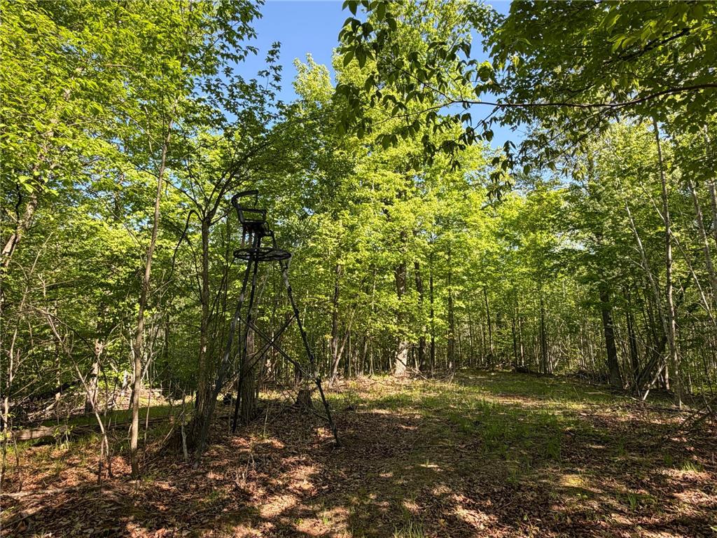 54003 Dollar Lake Road Wilma Twp MN 55072 7085590 image25