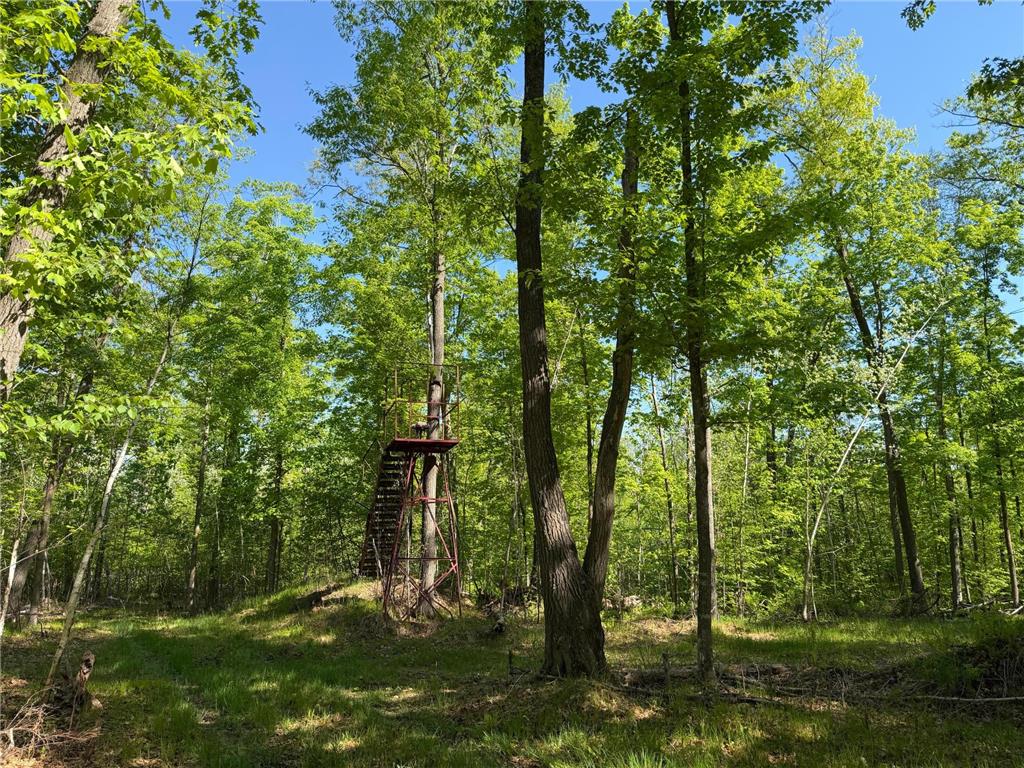 54003 Dollar Lake Road Wilma Twp MN 55072 7085590 image26