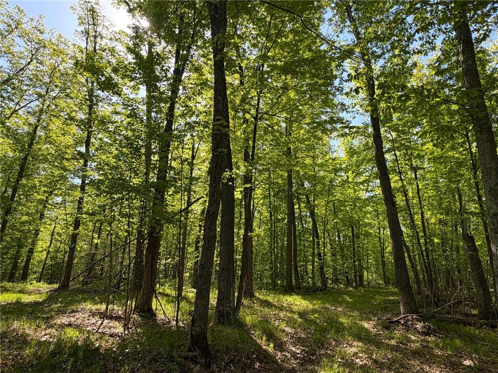 54003 Dollar Lake Road Wilma Twp MN 55072 7085590 image27