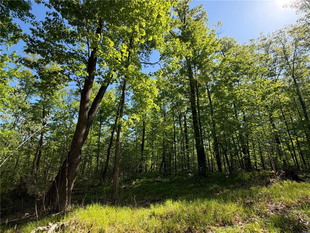 54003 Dollar Lake Road Wilma Twp MN 55072 7085590 image28