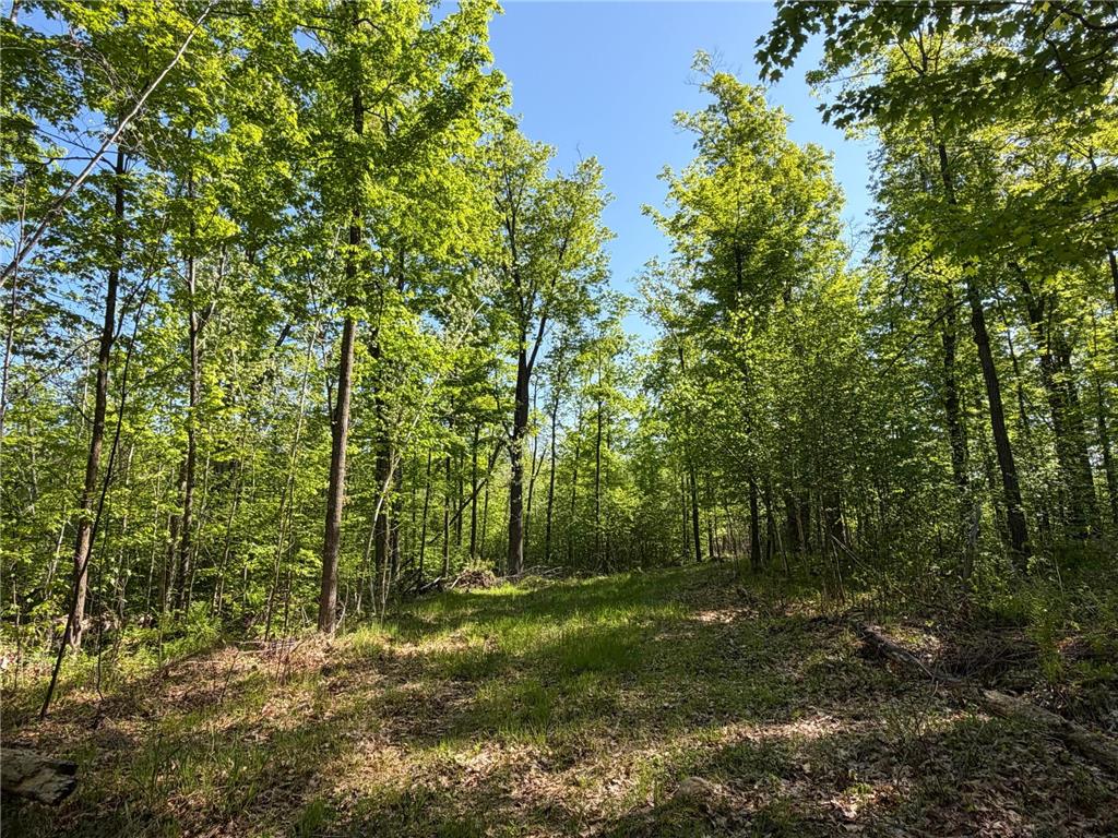 54003 Dollar Lake Road Wilma Twp MN 55072 7085590 image29