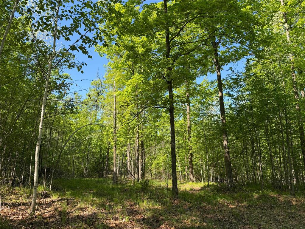 54003 Dollar Lake Road Wilma Twp MN 55072 7085590 image30