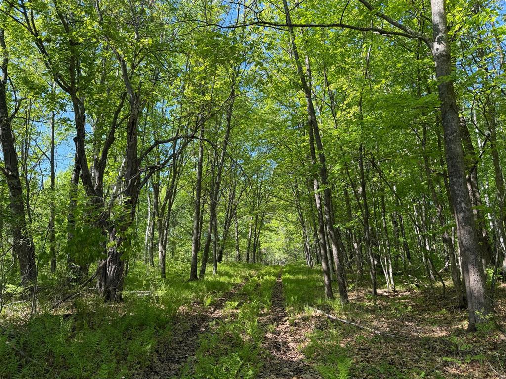 54003 Dollar Lake Road Wilma Twp MN 55072 7085590 image31