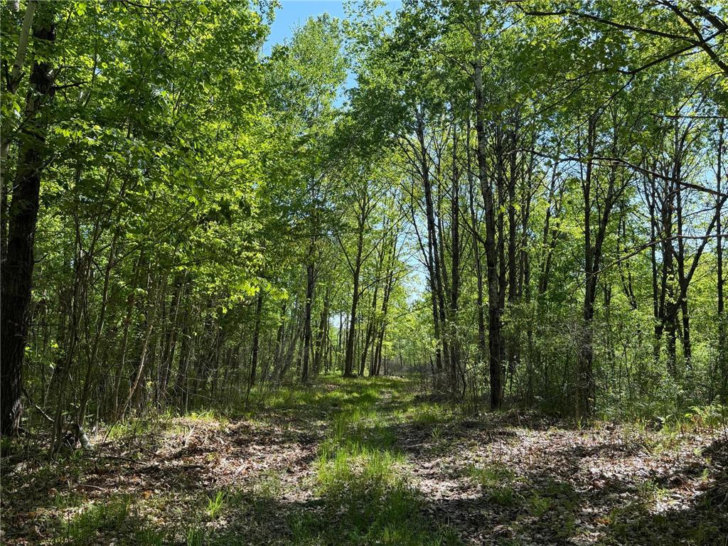 54003 Dollar Lake Road Wilma Twp MN 55072 7085590 image32