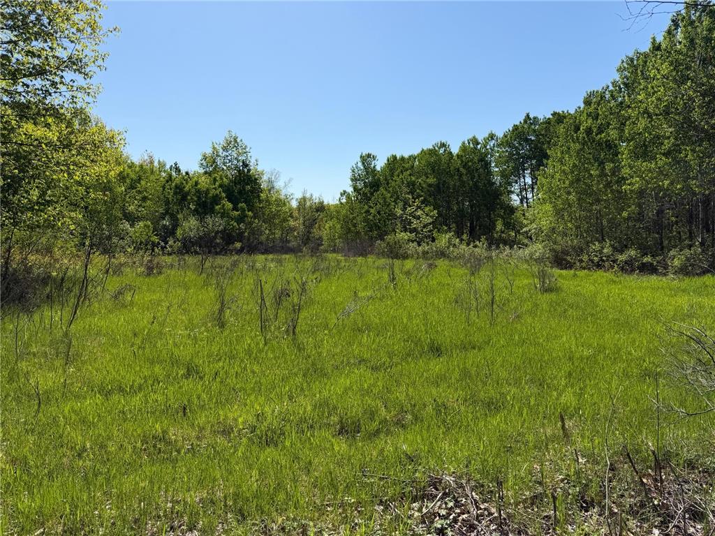 54003 Dollar Lake Road Wilma Twp MN 55072 7085590 image33