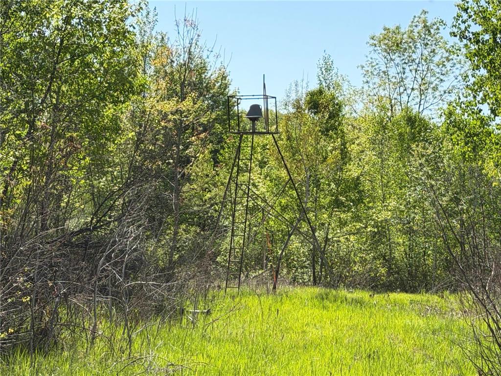 54003 Dollar Lake Road Wilma Twp MN 55072 7085590 image35