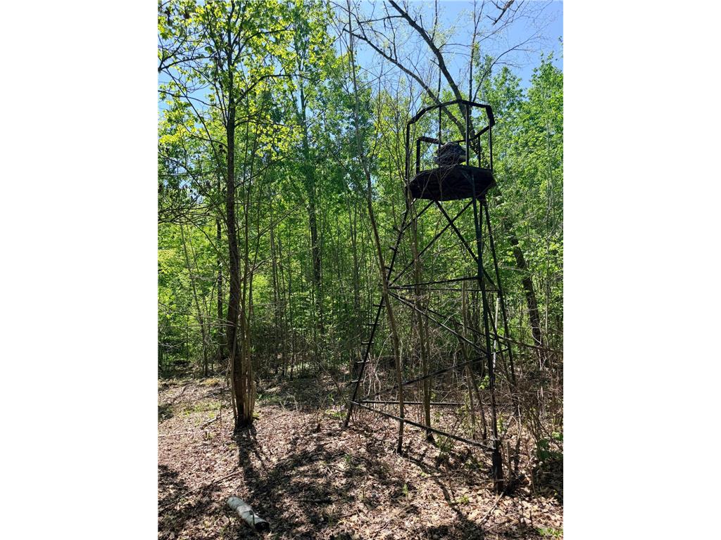 54003 Dollar Lake Road Wilma Twp MN 55072 7085590 image36
