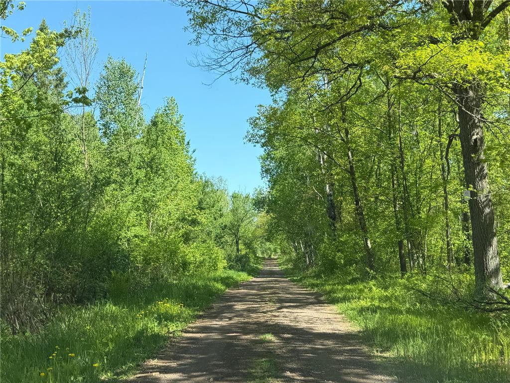 54003 Dollar Lake Road Wilma Twp MN 55072 7085590 image38