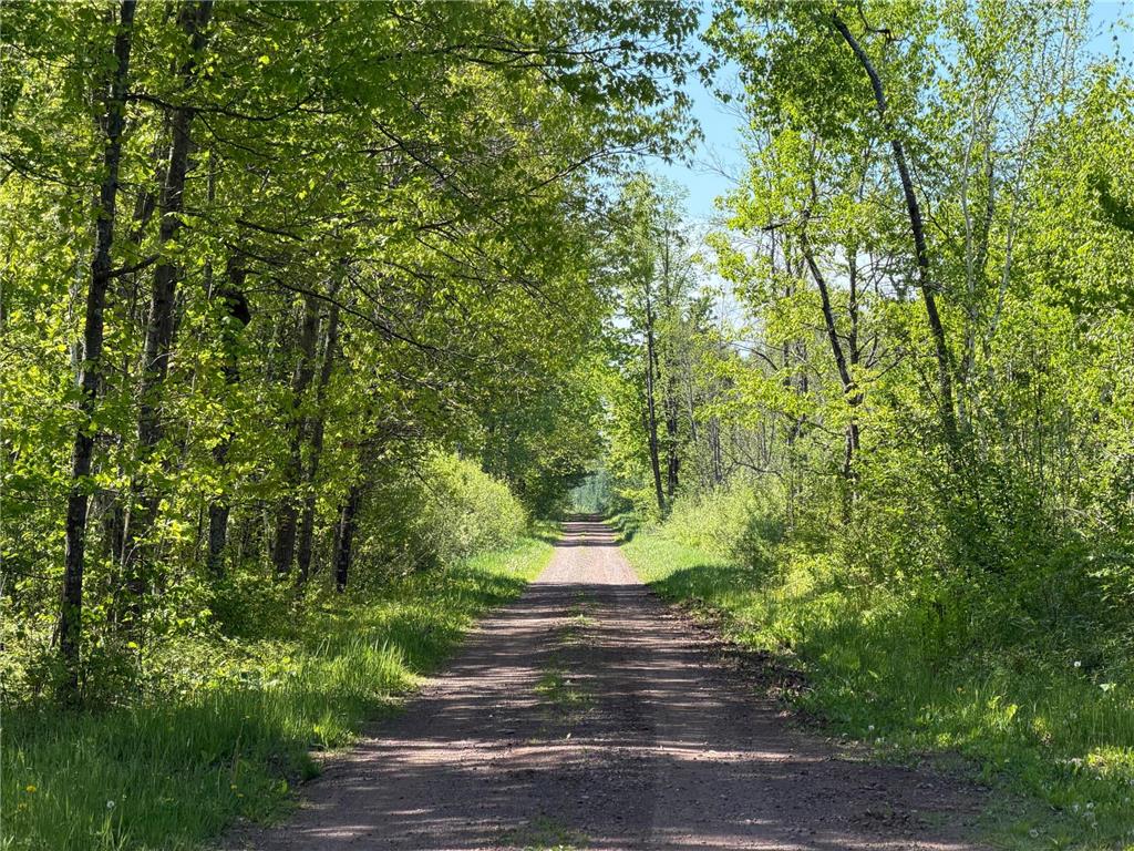 54003 Dollar Lake Road Wilma Twp MN 55072 7085590 image39