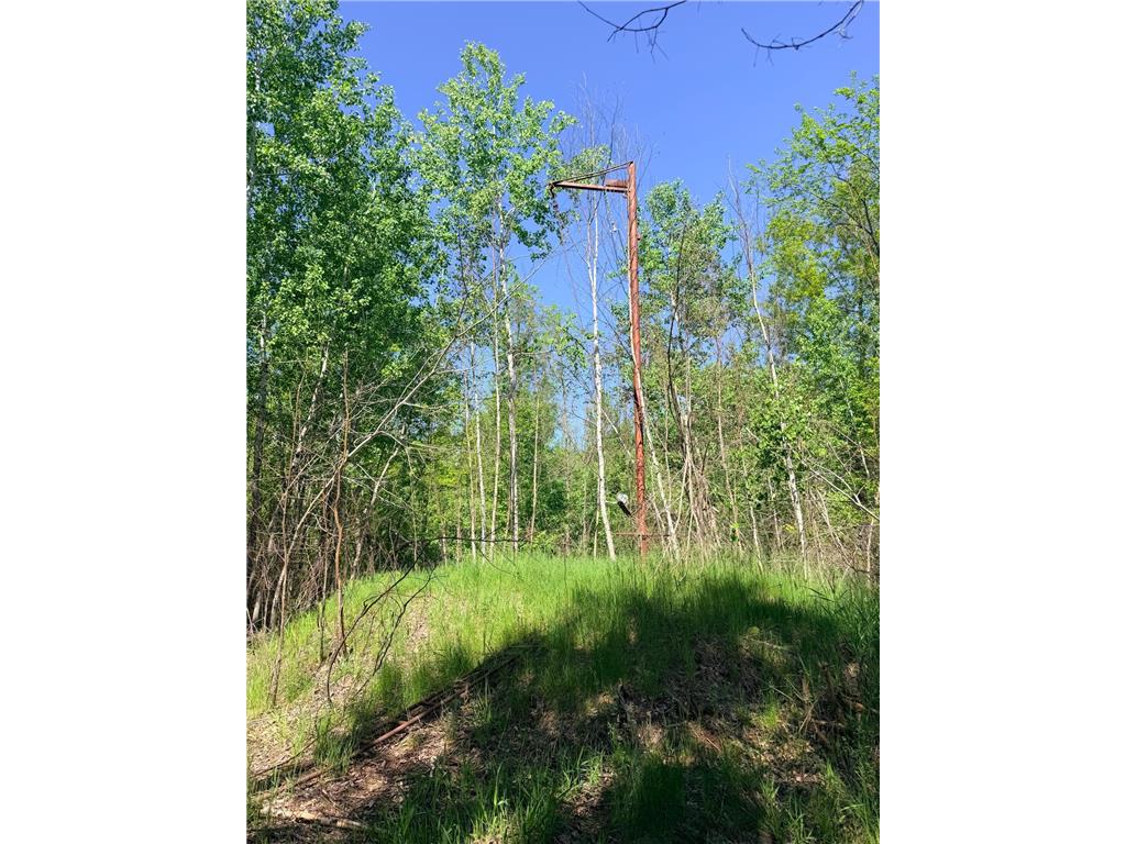 54003 Dollar Lake Road Wilma Twp MN 55072 7085590 image40