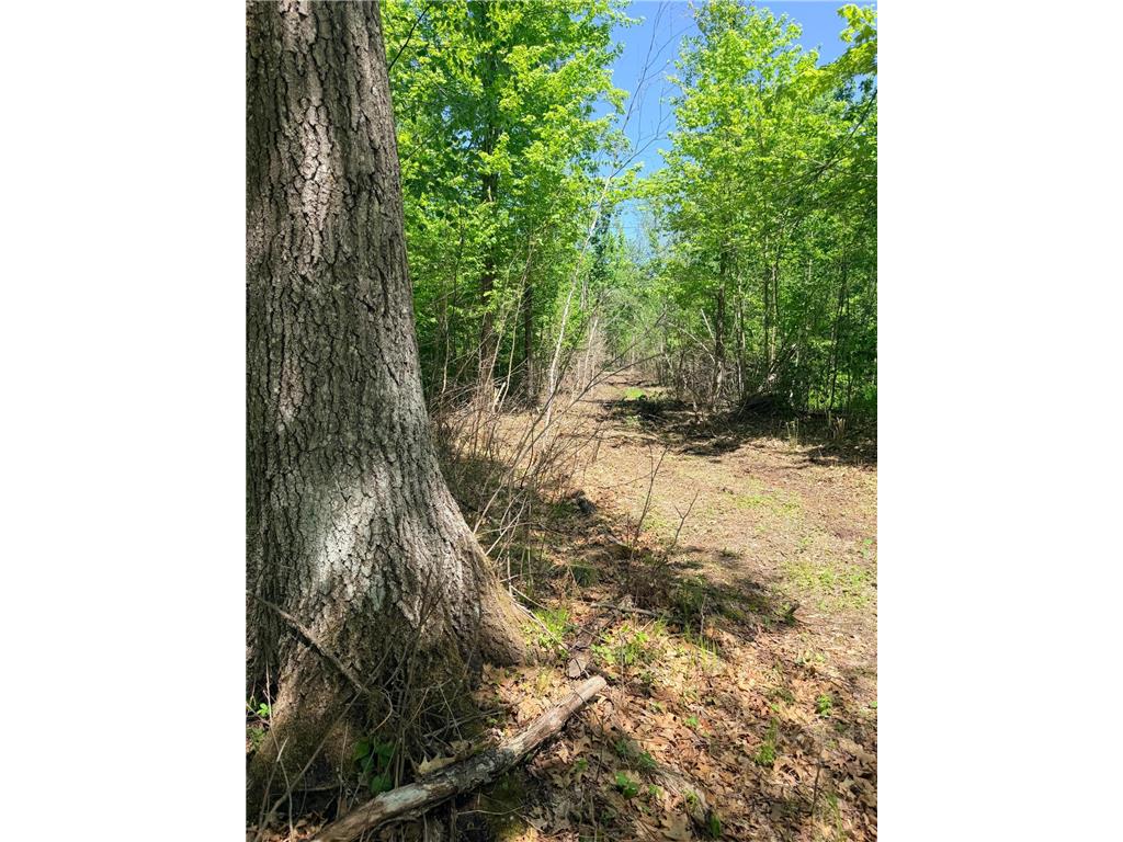 54003 Dollar Lake Road Wilma Twp MN 55072 7085590 image41