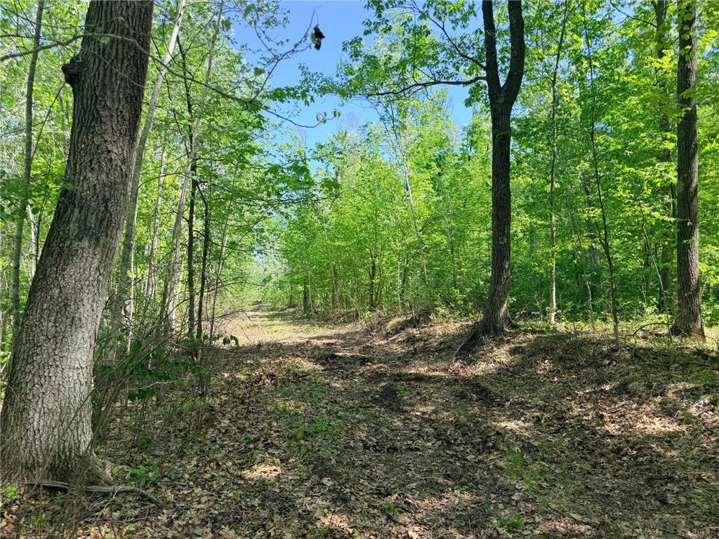 54003 Dollar Lake Road Wilma Twp MN 55072 7085590 image42