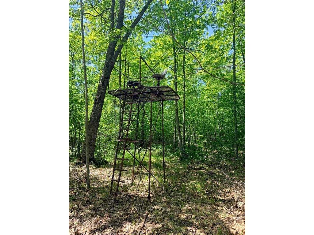 54003 Dollar Lake Road Wilma Twp MN 55072 7085590 image43