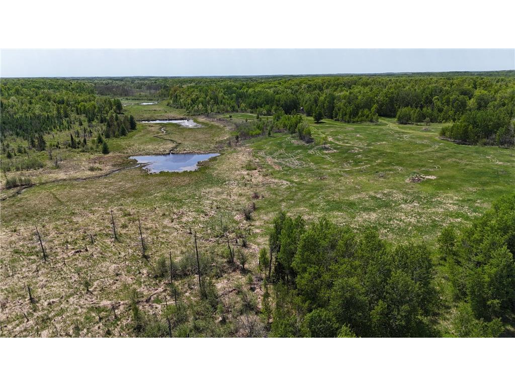 54003 Dollar Lake Road Wilma Twp MN 55072 7085590 image44