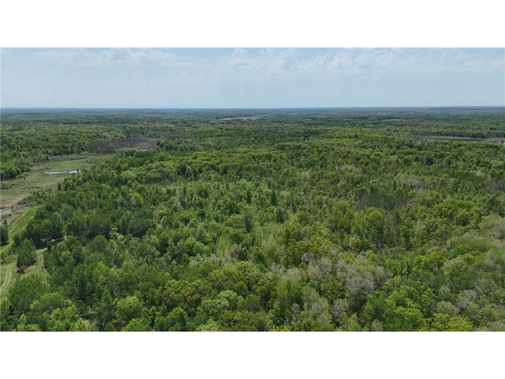 54003 Dollar Lake Road Wilma Twp MN 55072 7085590 image48