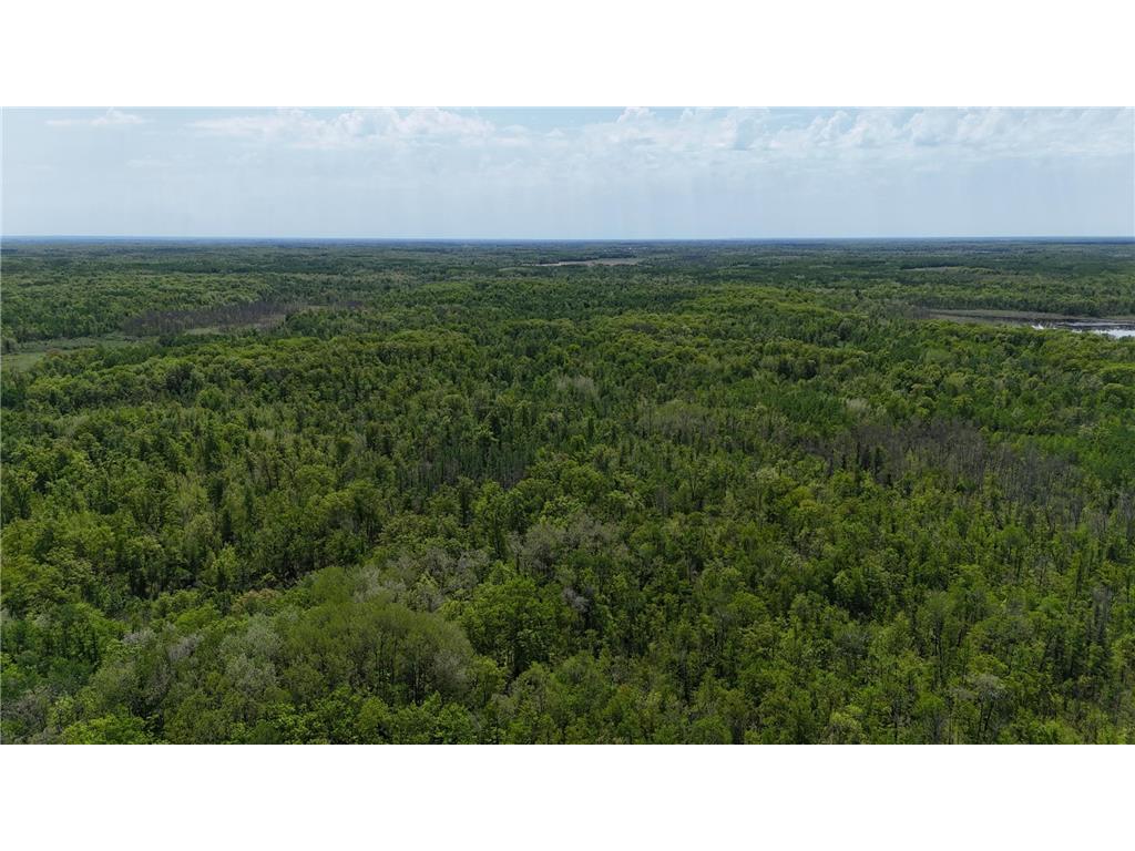 54003 Dollar Lake Road Wilma Twp MN 55072 7085590 image49