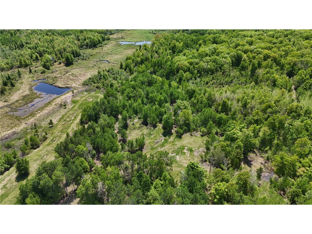 54003 Dollar Lake Road Wilma Twp MN 55072 7085590 image50