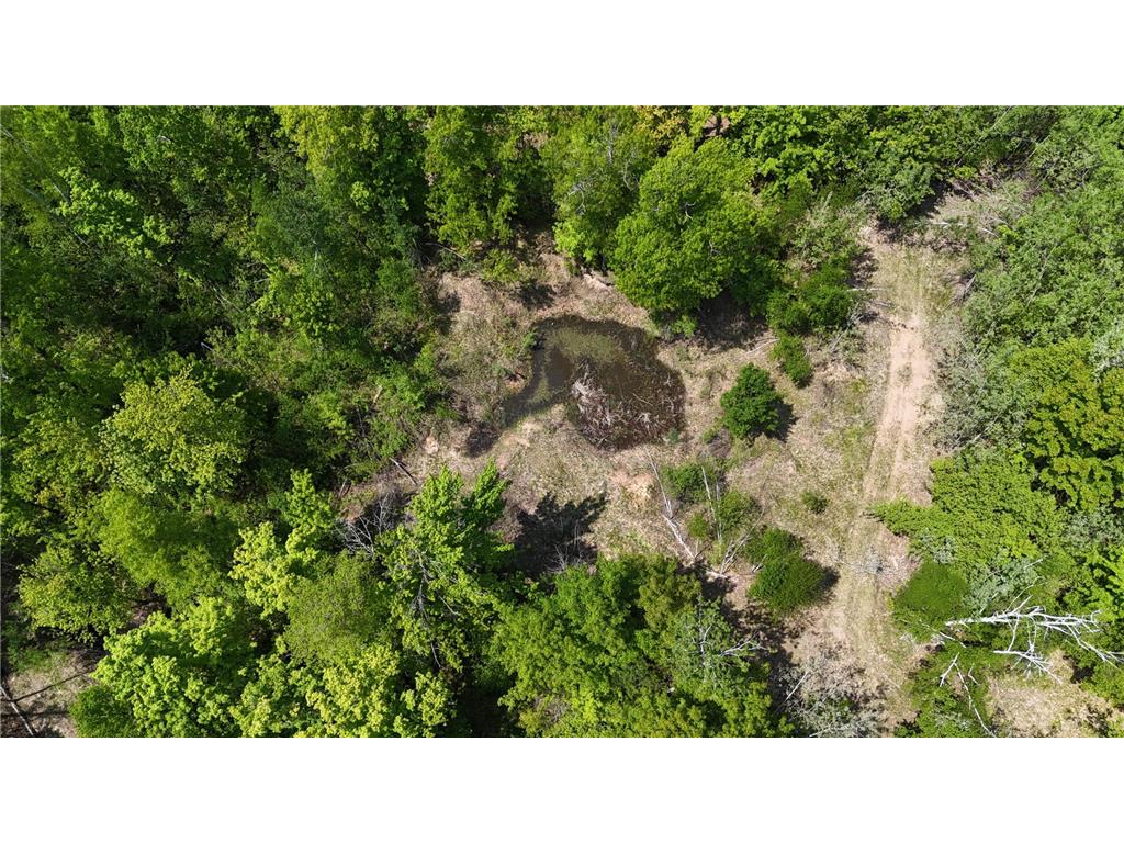 54003 Dollar Lake Road Wilma Twp MN 55072 7085590 image51