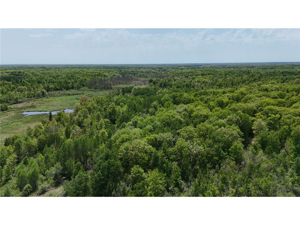 54003 Dollar Lake Road Wilma Twp MN 55072 7085590 image53