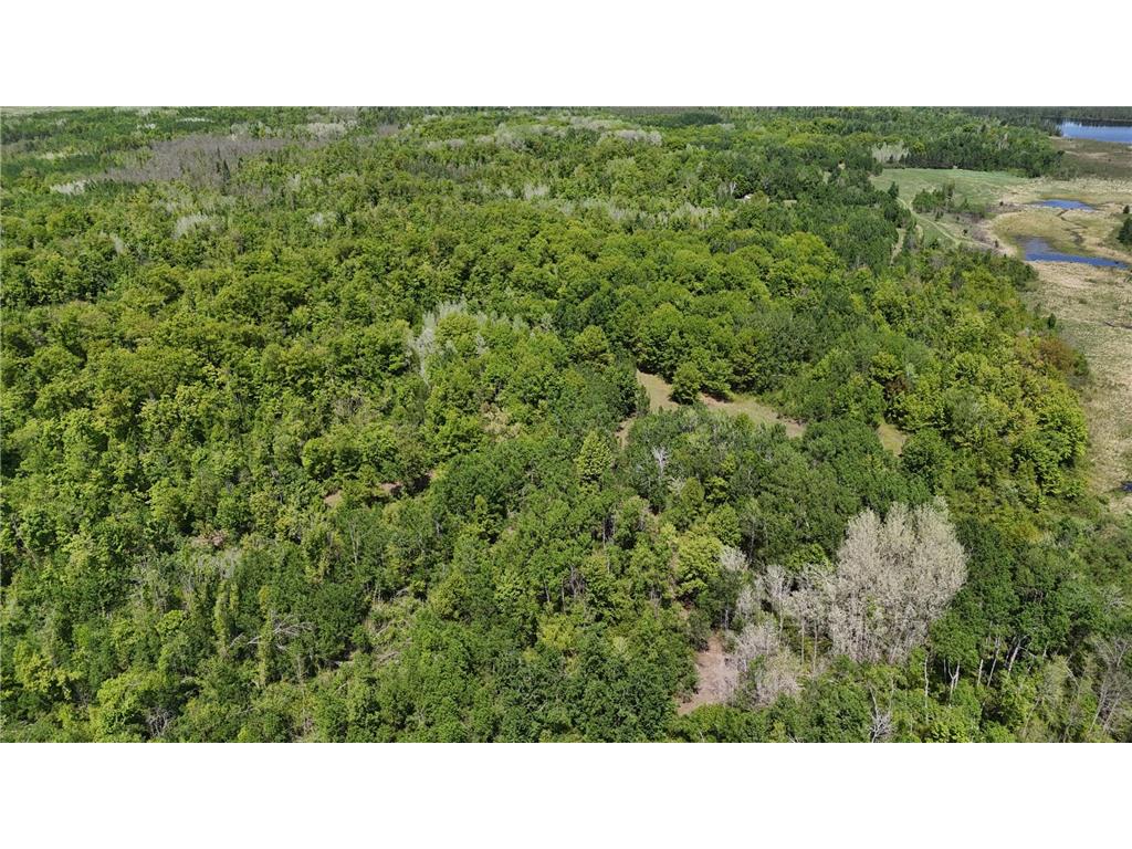 54003 Dollar Lake Road Wilma Twp MN 55072 7085590 image56