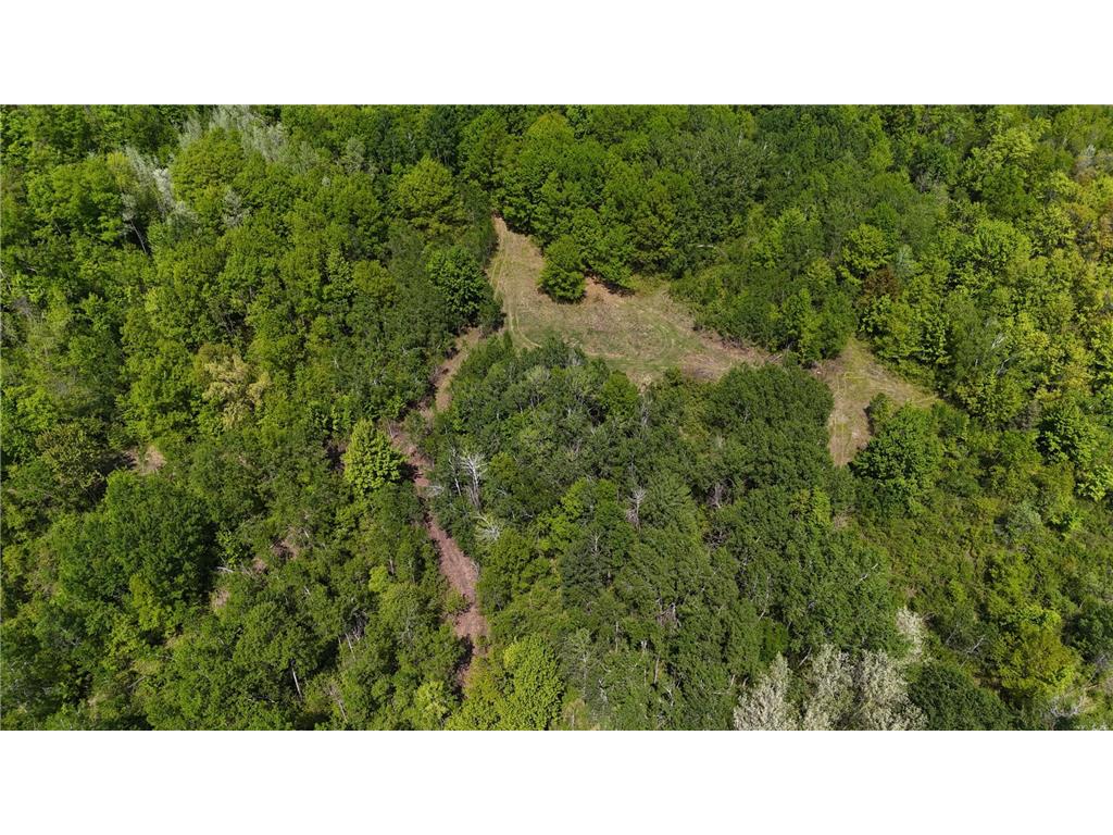54003 Dollar Lake Road Wilma Twp MN 55072 7085590 image57