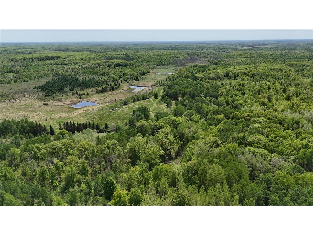 54003 Dollar Lake Road Wilma Twp MN 55072 7085590 image6