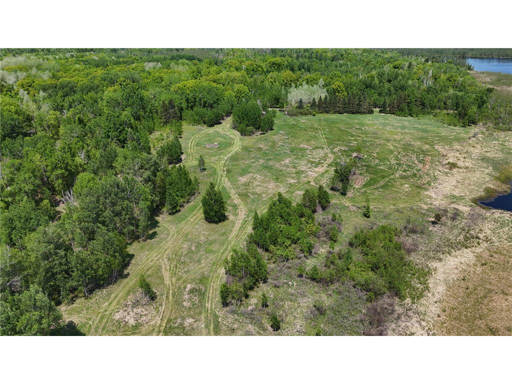 54003 Dollar Lake Road Wilma Twp MN 55072 7085590 image60