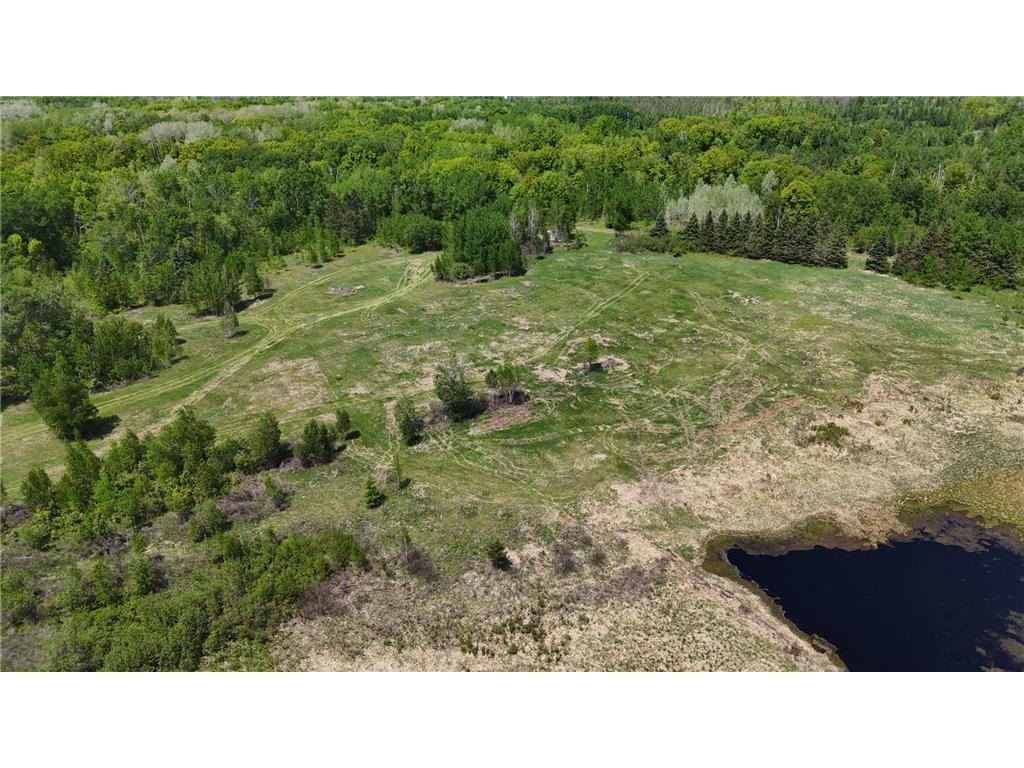 54003 Dollar Lake Road Wilma Twp MN 55072 7085590 image61