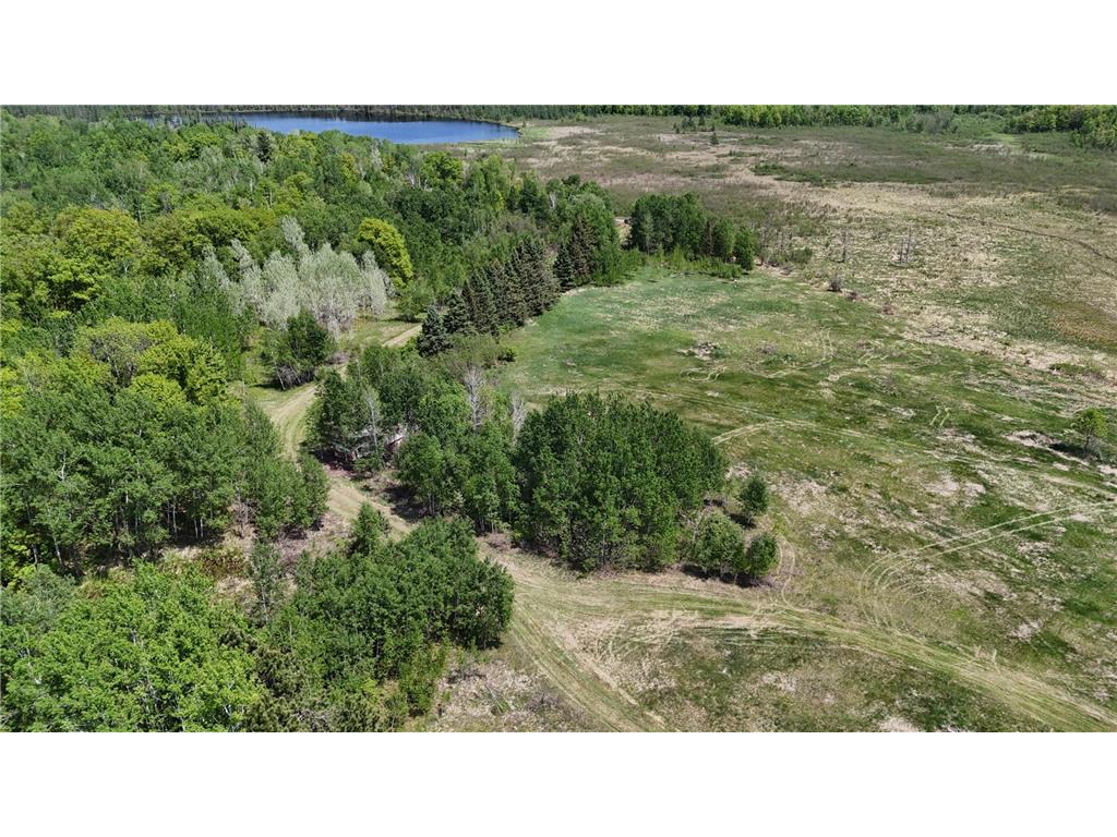 54003 Dollar Lake Road Wilma Twp MN 55072 7085590 image63