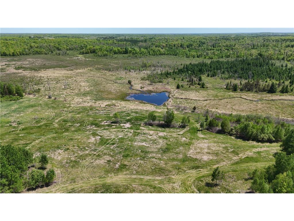 54003 Dollar Lake Road Wilma Twp MN 55072 7085590 image64