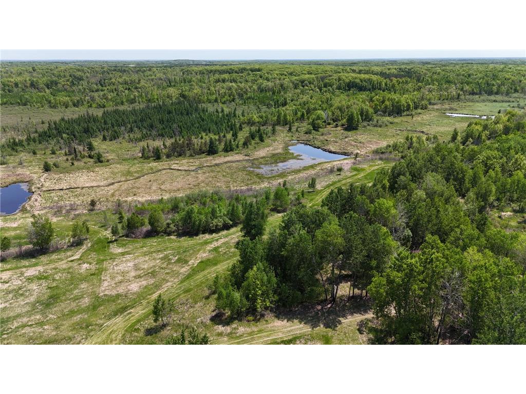 54003 Dollar Lake Road Wilma Twp MN 55072 7085590 image65