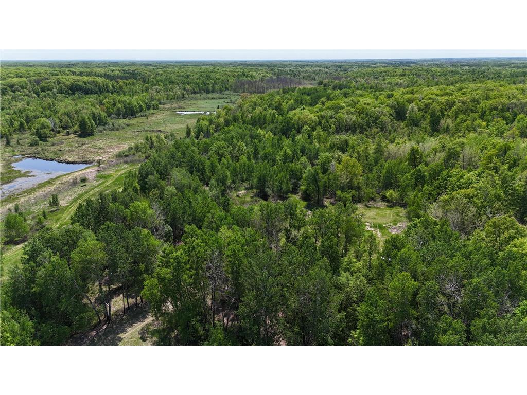 54003 Dollar Lake Road Wilma Twp MN 55072 7085590 image66