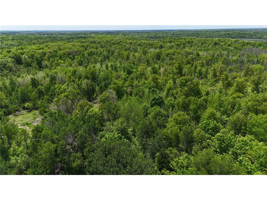 54003 Dollar Lake Road Wilma Twp MN 55072 7085590 image67