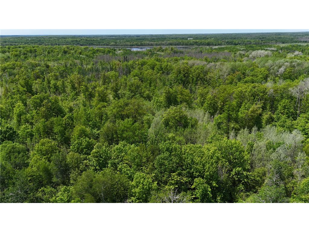 54003 Dollar Lake Road Wilma Twp MN 55072 7085590 image68