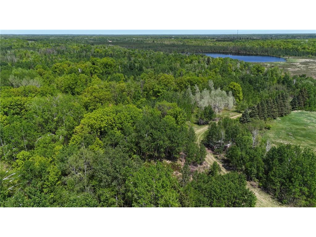 54003 Dollar Lake Road Wilma Twp MN 55072 7085590 image69