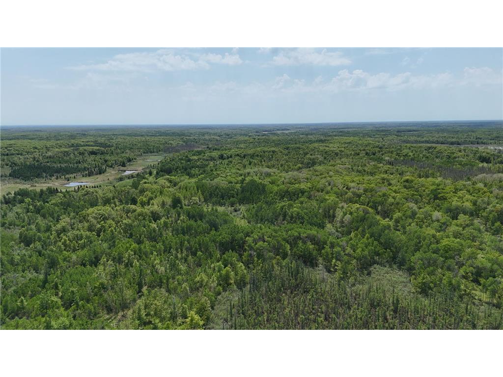 54003 Dollar Lake Road Wilma Twp MN 55072 7085590 image70