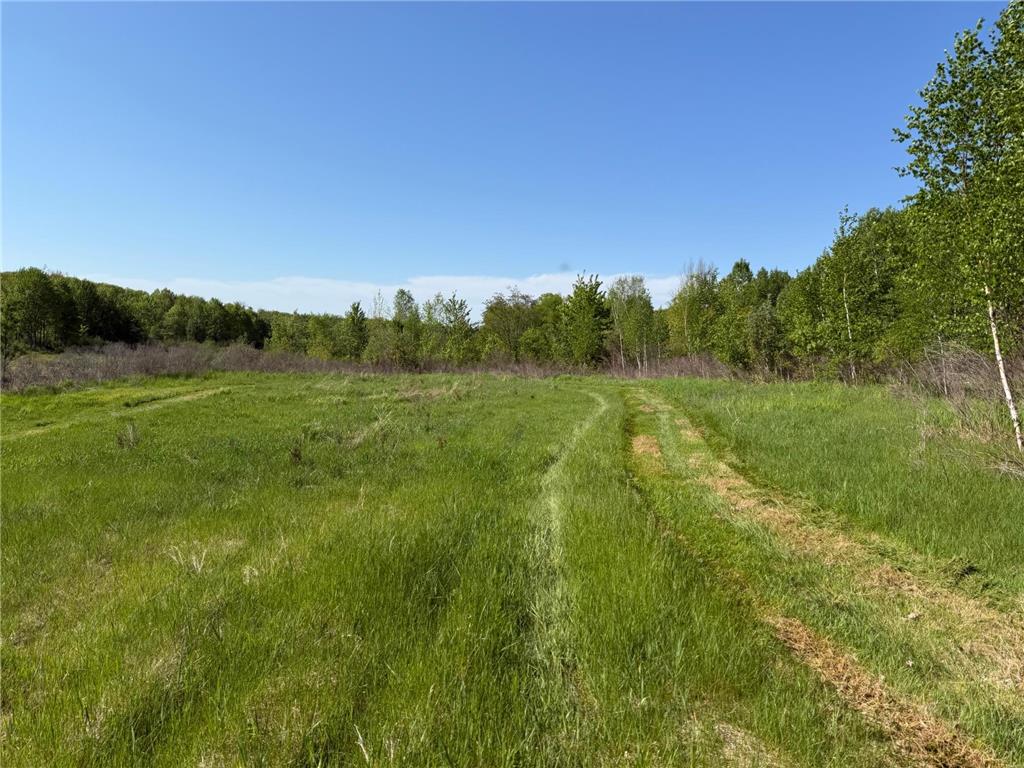 54003 Dollar Lake Road Wilma Twp MN 55072 7085590 image8