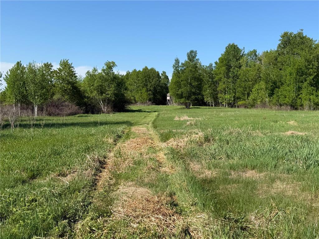 54003 Dollar Lake Road Wilma Twp MN 55072 7085590 image9