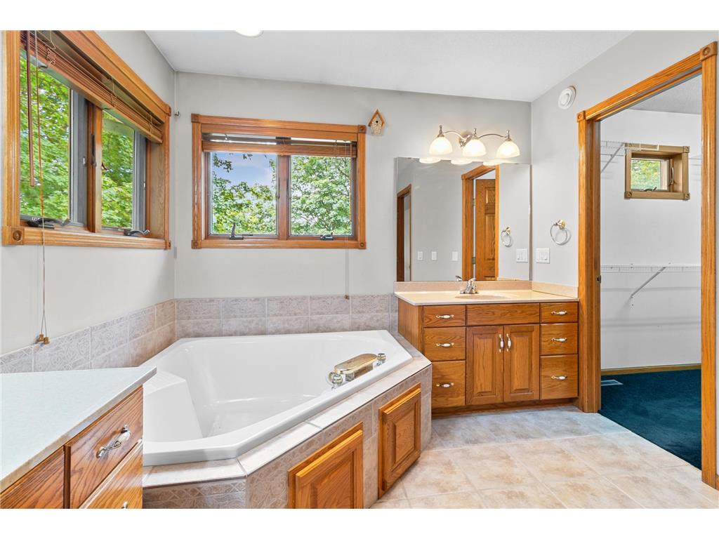 541 Woodland Trail Medford MN 55049 6746892 image27