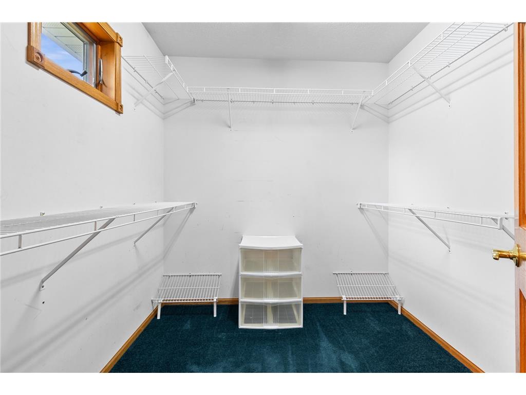 541 Woodland Trail Medford MN 55049 6746892 image29