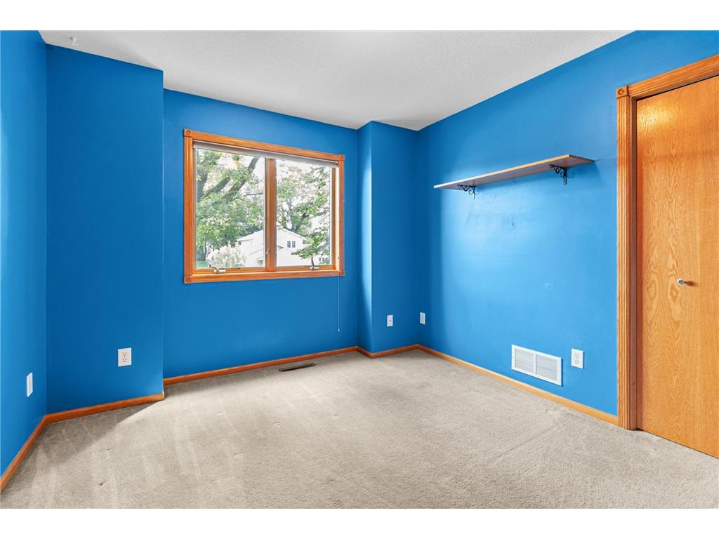 541 Woodland Trail Medford MN 55049 6746892 image34