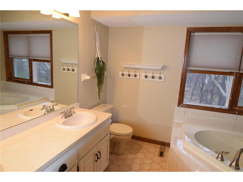 5410 S Park Drive Savage MN 55378 7078221 image19