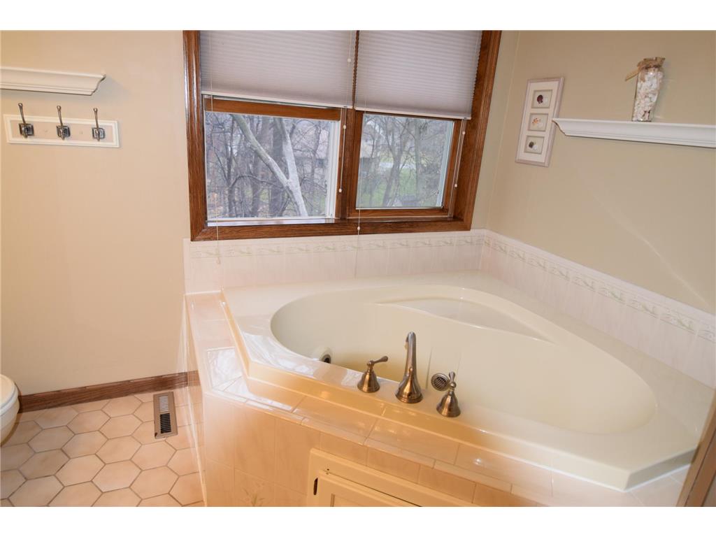 5410 S Park Drive Savage MN 55378 7078221 image21