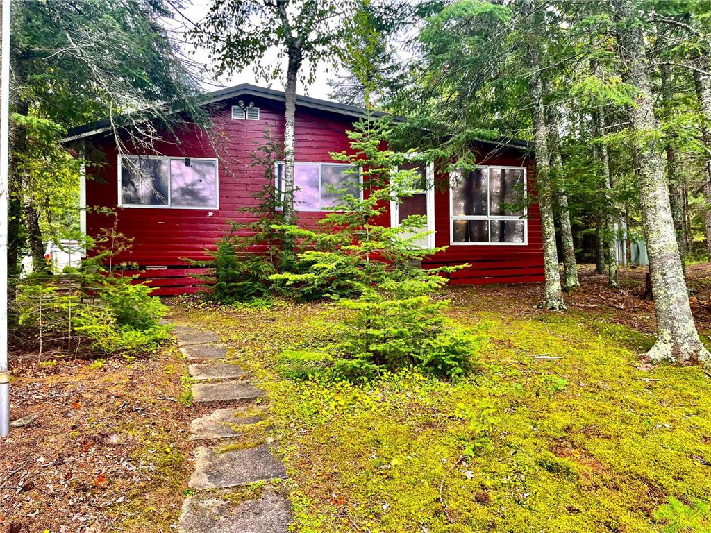 54123 E Bear Lake Forest Road, Cook, MN 55723 MLS 6257005 Edina Realty