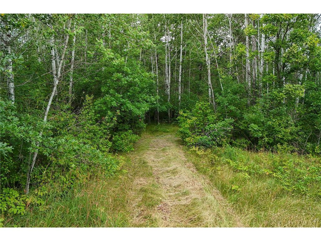 5415 Park Preserve Trail NE Bemidji MN 56601 6782715 image2