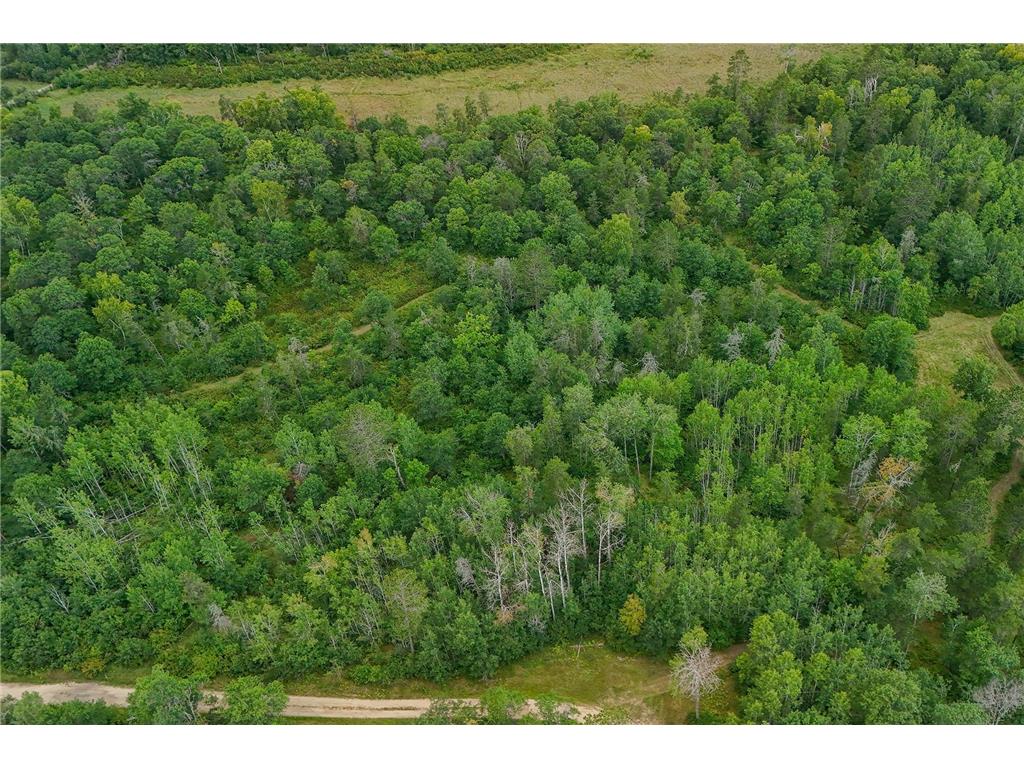 5415 Park Preserve Trail NE Bemidji MN 56601 6782715 image6