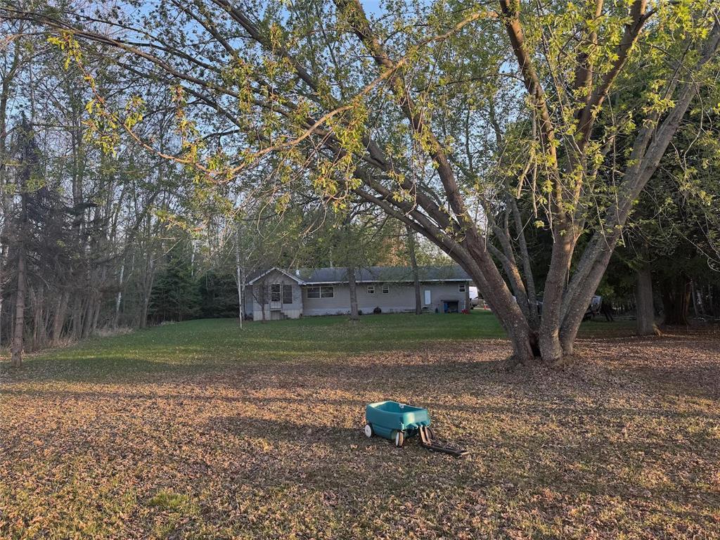 54202 Memory Lane NE Waskish MN 56685 - Red 6721765 image1