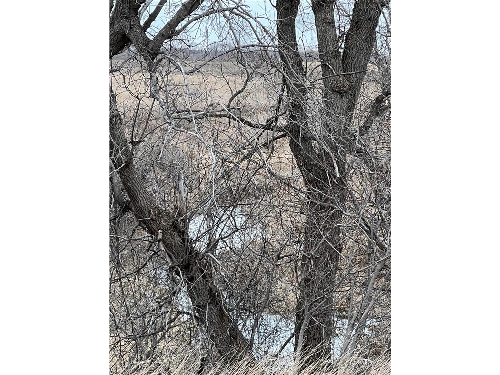 54219 100th, Donnelly Twp, MN, 56267 MLS 6521590 Edina Realty