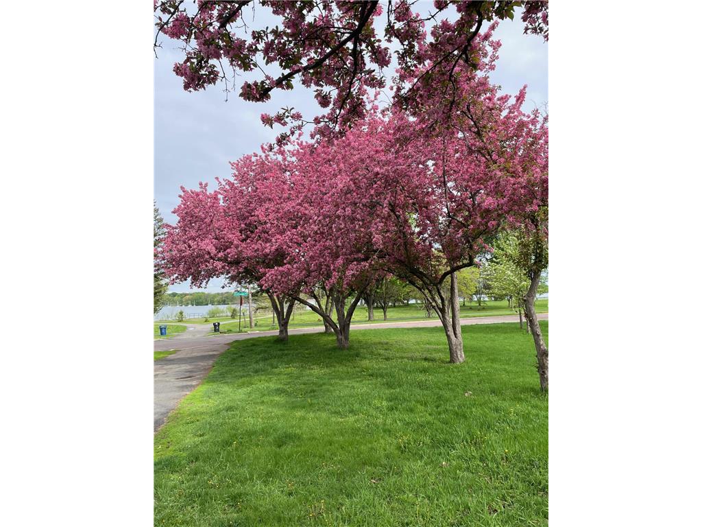 5424 30th Avenue S Minneapolis MN 55417 7018334 image37