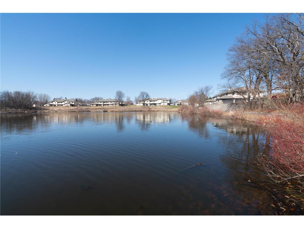 5425 Orleans Lane N #6 Plymouth MN 55442 7043447 image31